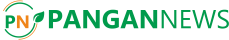 PanganNews Logo