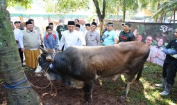world-news